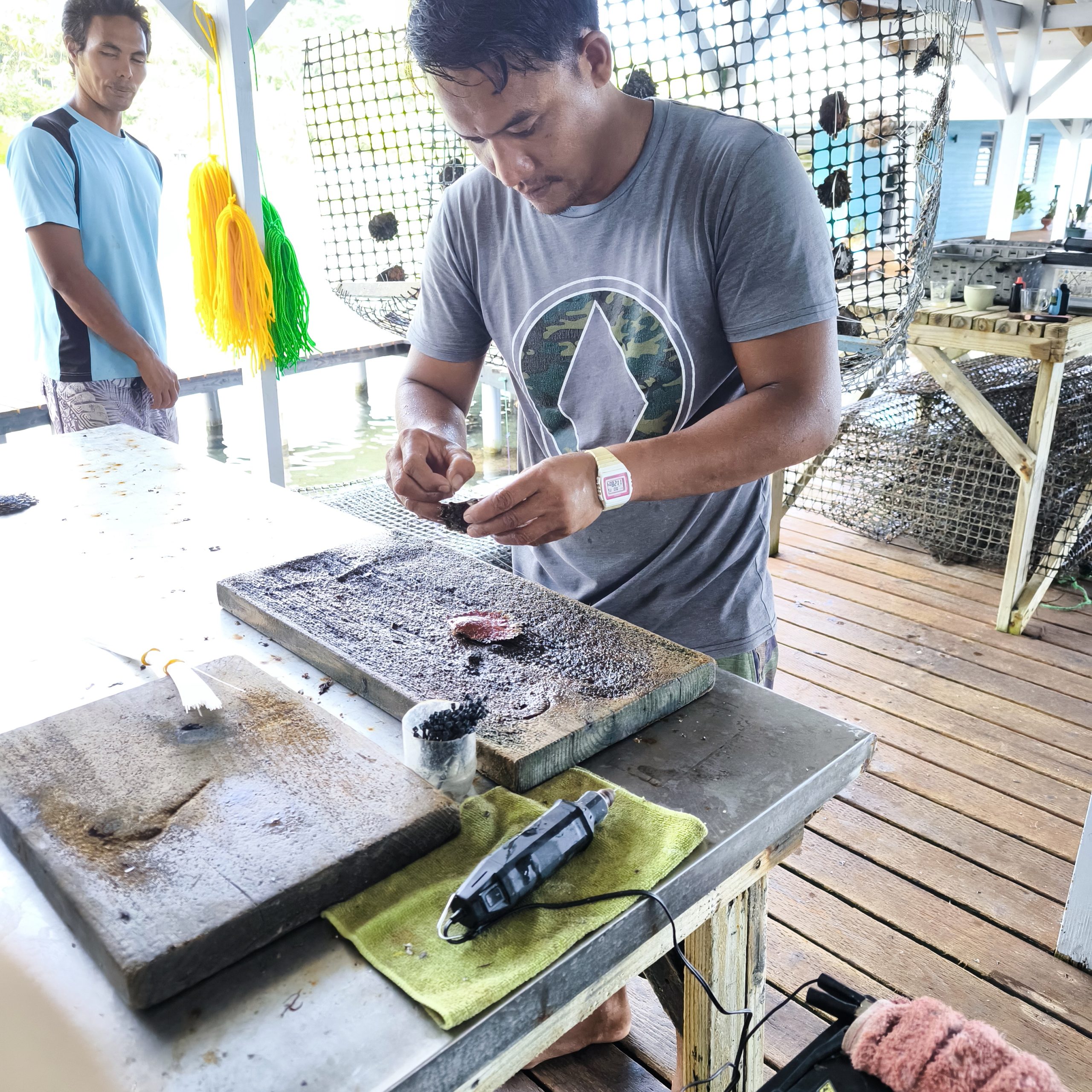 Plateformes et poches d’huîtres à Ia Ora Na Pearl Farm, Taha’a