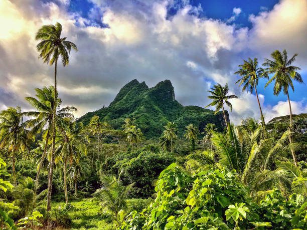 Raiatea, cœur sacré et vivant de la Polynésie