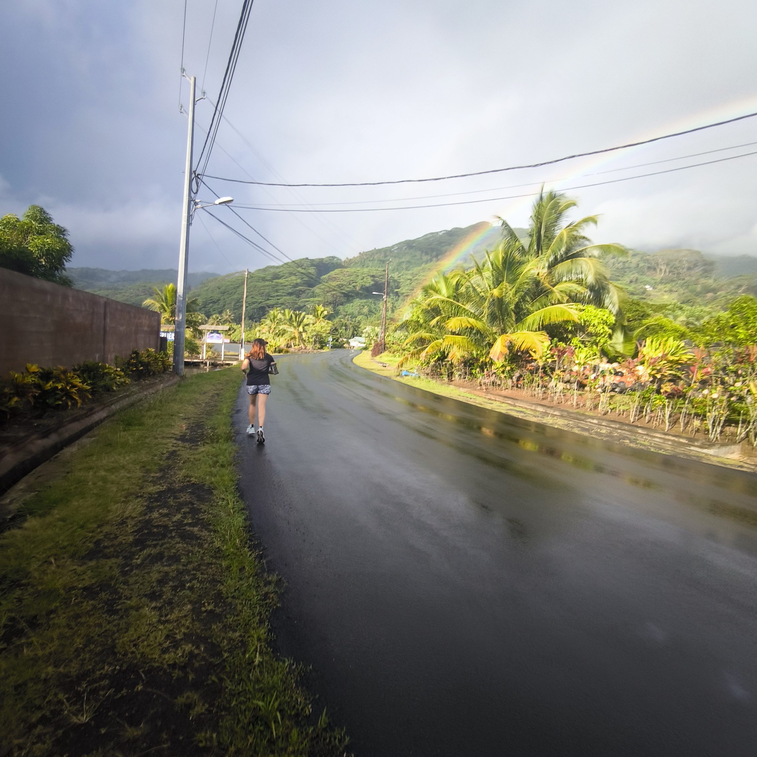 Route bordée de végétation humide un matin de pluie à Raiatea, avec ciel bas et atmosphère tropicale