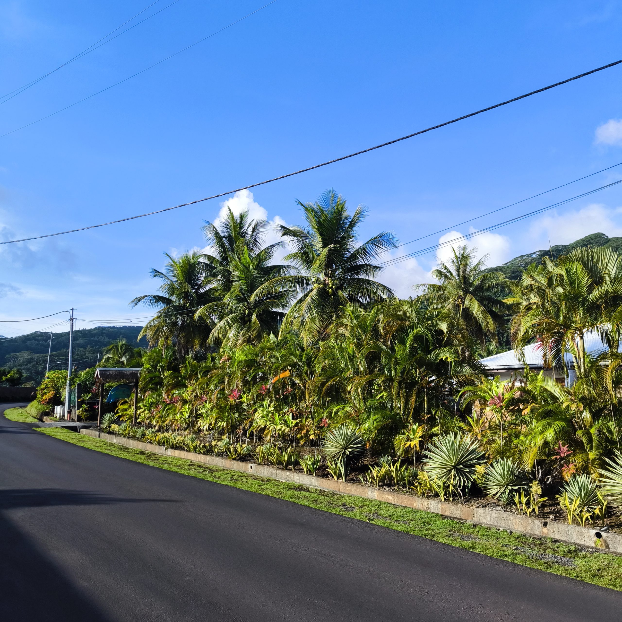 Route du matin à Raiatea, trajet vers l’école