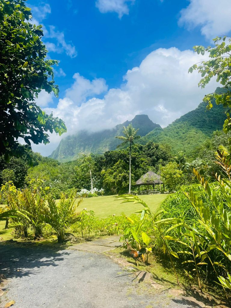 Photo du jardin botanique avec vue sur vallée