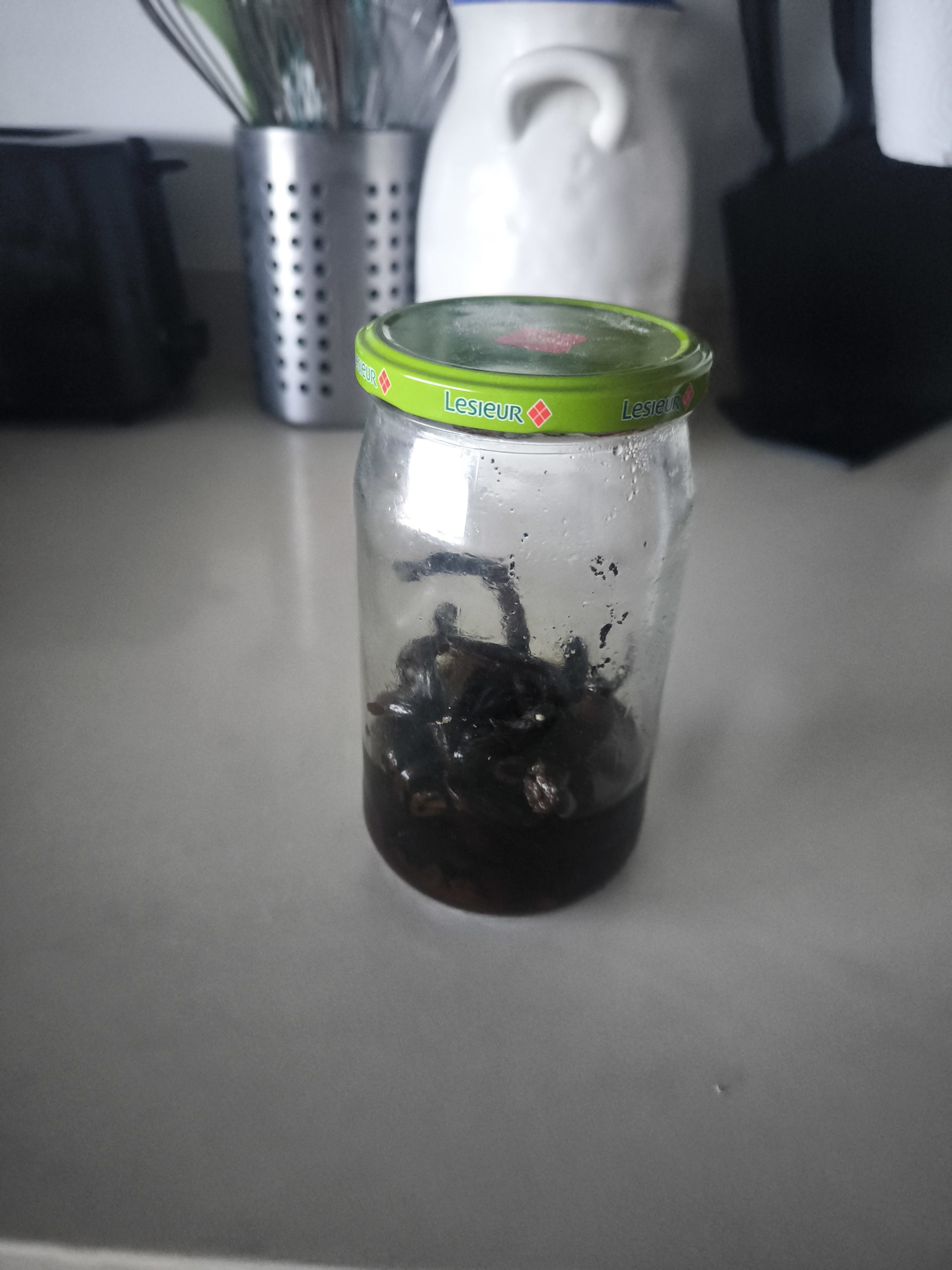 Bocal en verre de gousses de vanille de Tahiti conservées dans du rhum blanc