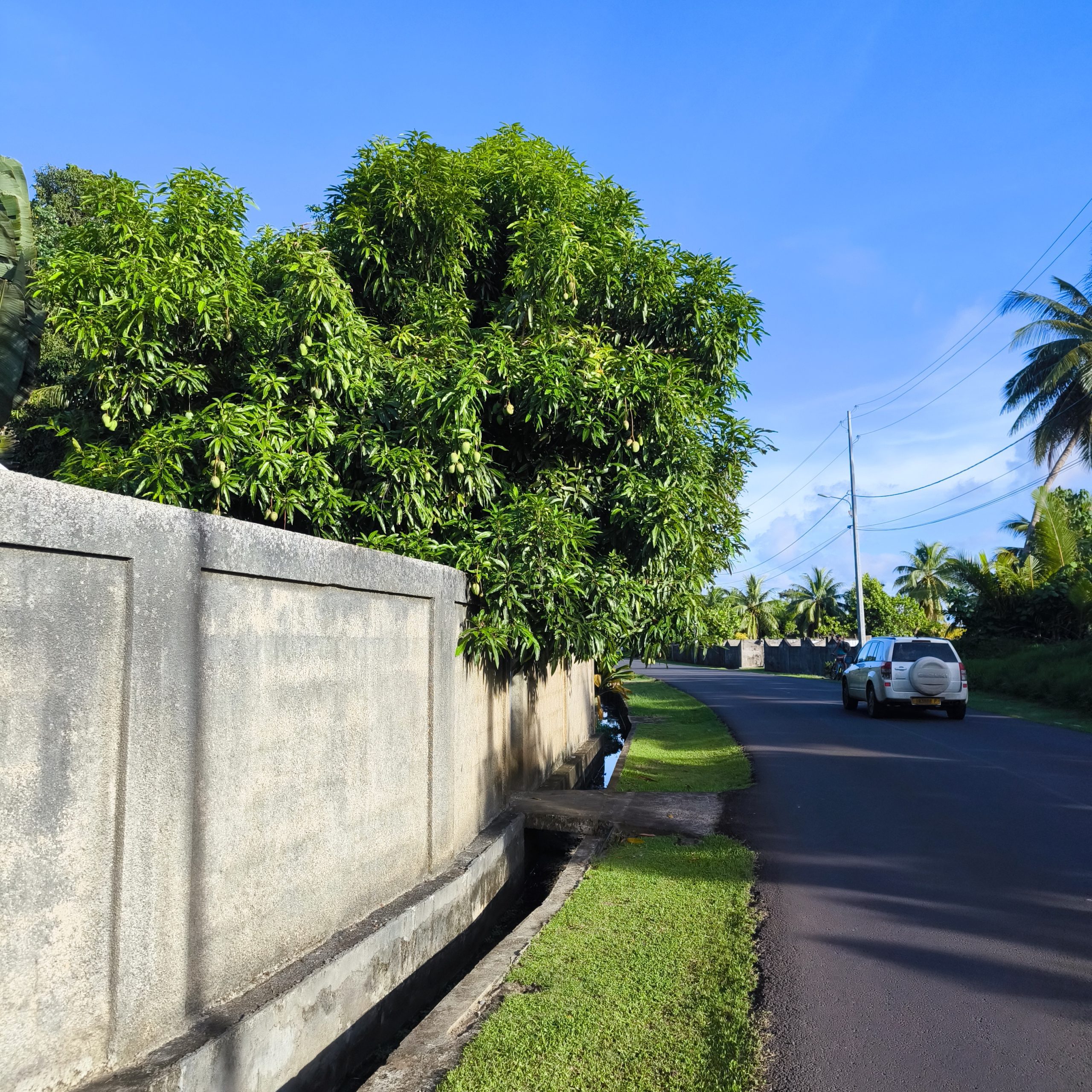 Route de ceinture entre l'école et la maison Raiatea lagon Polynésie française